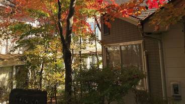 施設の敷地 / 12