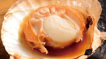 レストラン / 12