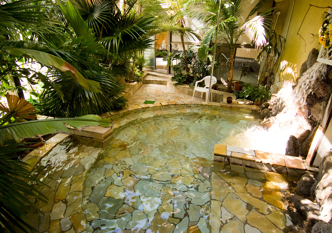 伊東温泉　ウェルネスの森　伊東（イトウオンセン　ウェルネスノモリ　イトウ） / 4