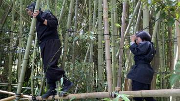 エコツアー / 16