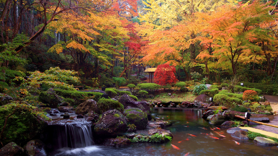 宙 SORA 渡月荘金龍3845695