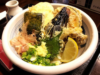 「饂飩工房 うばら」料理 1201316 野菜天ぶっかけうどん