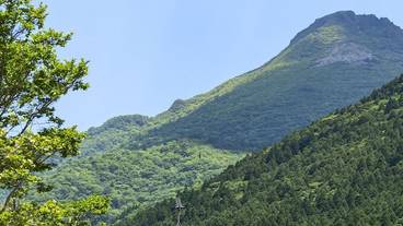 施設からの眺望 / 13