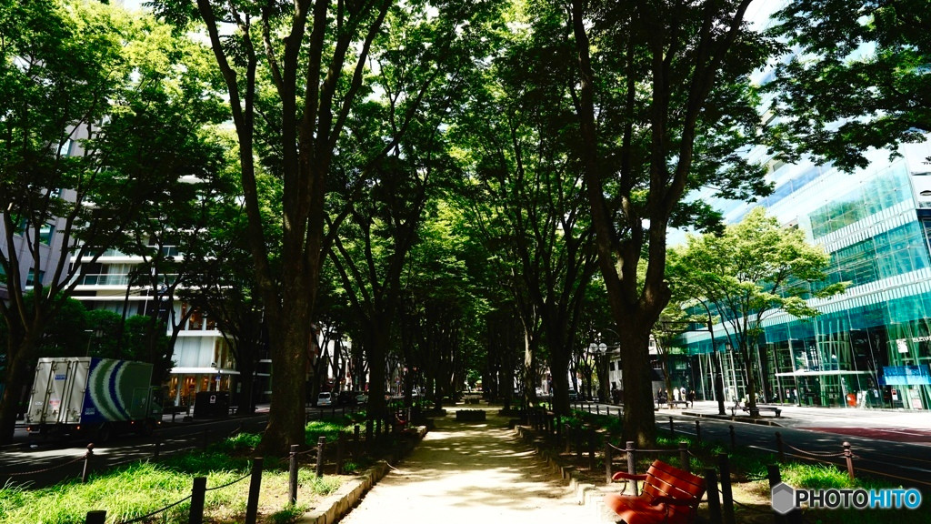 緑が多い杜の都「仙台」へ、癒され旅行♪1729114