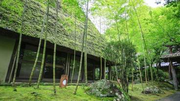 旅館のお食事処 / 37