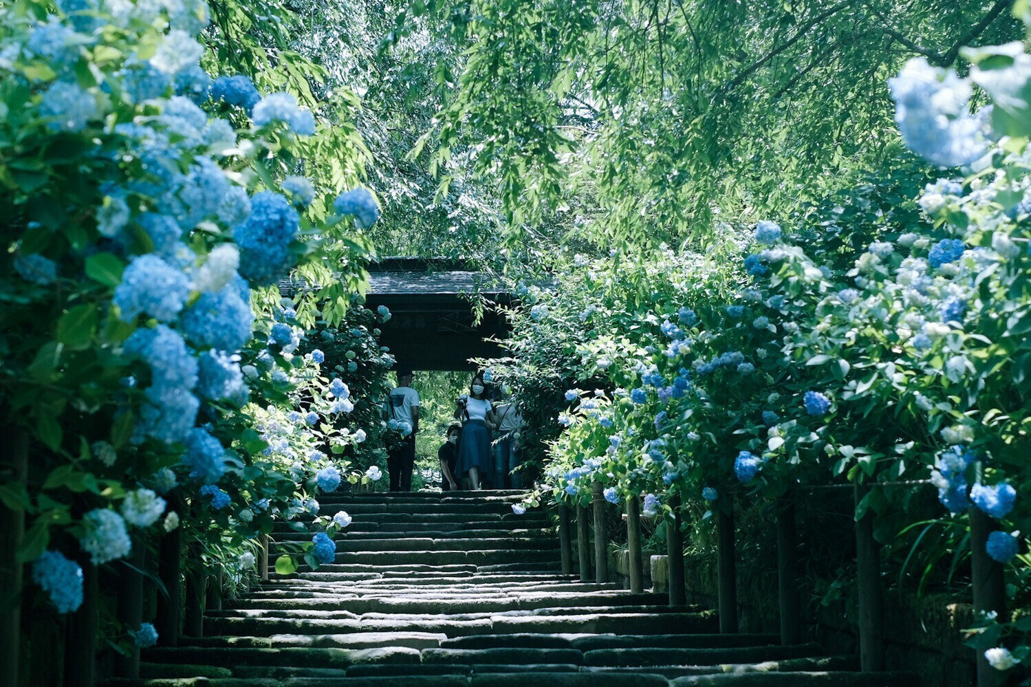 北鎌倉のおすすめ観光スポット8選 人気のお寺も穴場も縁結びスポットも 神奈川県 Icotto イコット