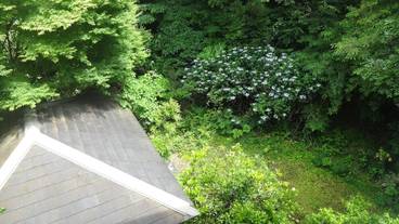 ガーデン ビュー / 15