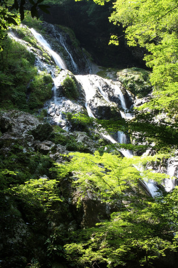 愛知県新城市・百間滝