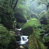 YAKUSHIMA REFRESH ROOM（鹿児島県 旅館） / 4