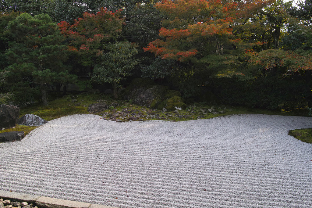 方丈庭園　南庭1023836