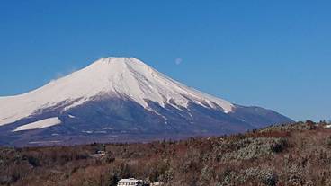 施設の敷地 / 14