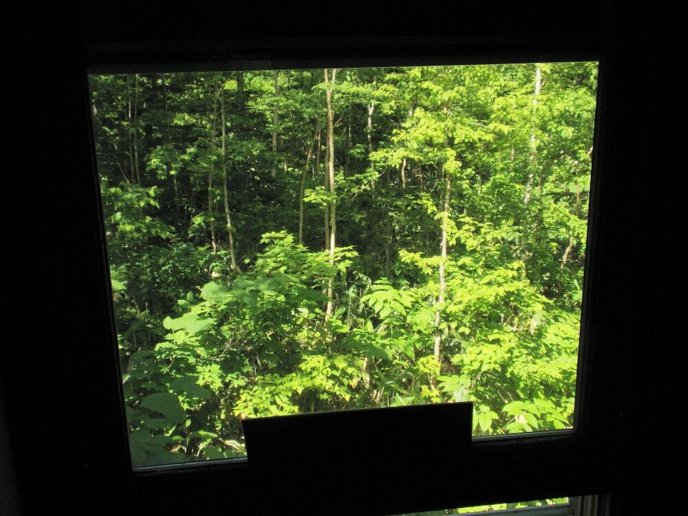 施設からの眺望