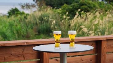 テラス / パティオ / 37