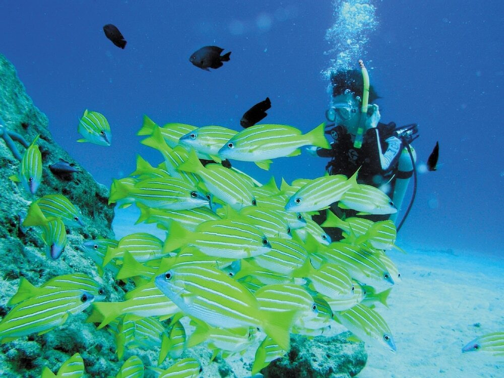 泊まって、食べて、遊びつくして癒される♡胸いっぱいのリゾート体験4249330