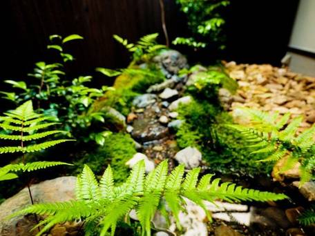 京の片泊まり 竹間つゆくさ庵 / 4