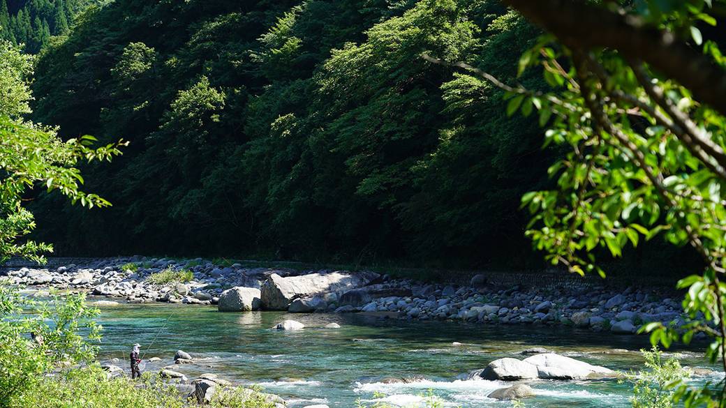 清流長良川 あゆパーク① / 4