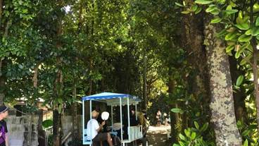 施設の敷地 / 14