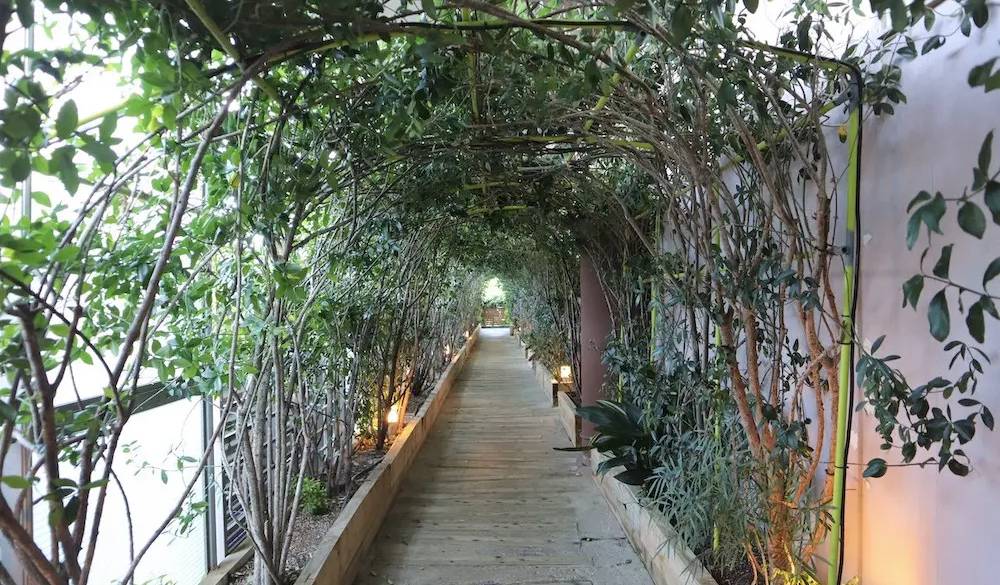 ホテル2階の扉を開くと、幻想的な緑のアーチが続く。まるで違う世界に入り込んだかのような世界観に気持ちが高まります。