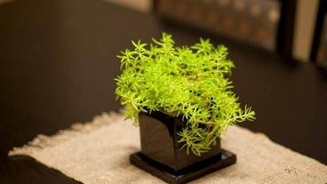 内装の詳細 / 16