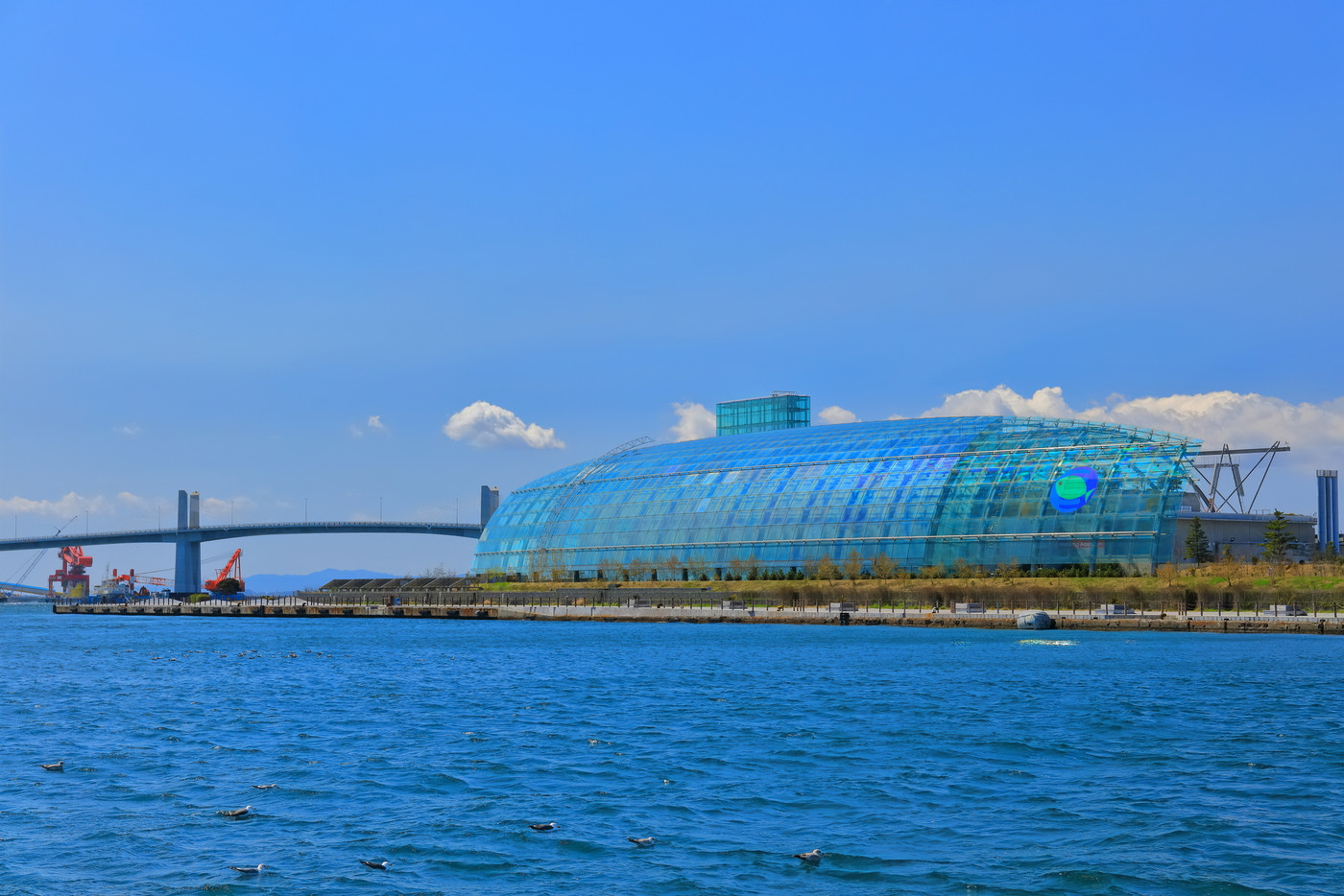 【福島県】晴天下のアクアマリンふくしま