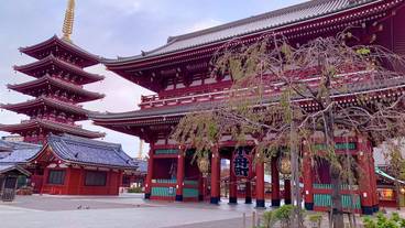 観光スポット / 12