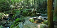 「1日10組以下限定」の宿で大人のおこもり旅。しっとり過ごせる旅館・ホテル7選／福島県