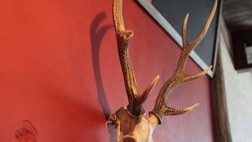 内装の詳細 / 10