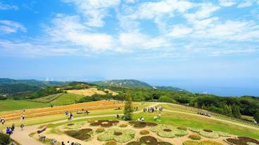 ランド ビュー / 20