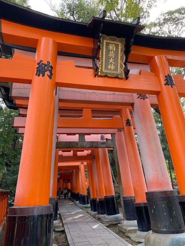 「伏見稲荷大社」。千本鳥居でお馴染みの稲荷神社の総本社 / 3