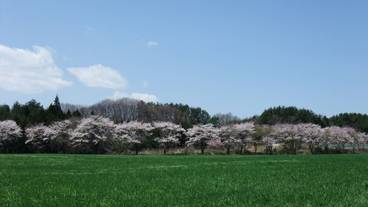 ランド ビュー / 15