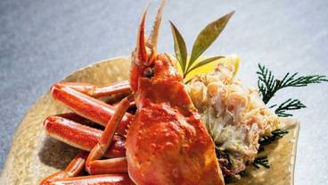 食事・飲み物 / 16