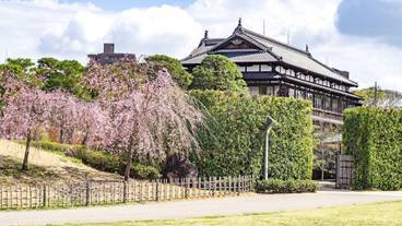 シティ ビュー / 19