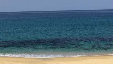 施設からの眺望 / 14