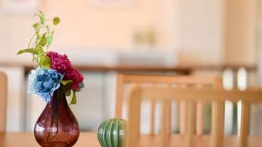 内装の詳細 / 19