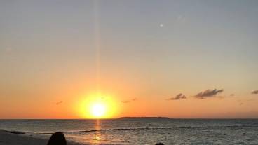 観光スポット / 11