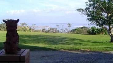 テラス / パティオ / 7