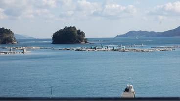 部屋からの景観 / 13