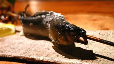 食事・飲み物 / 12