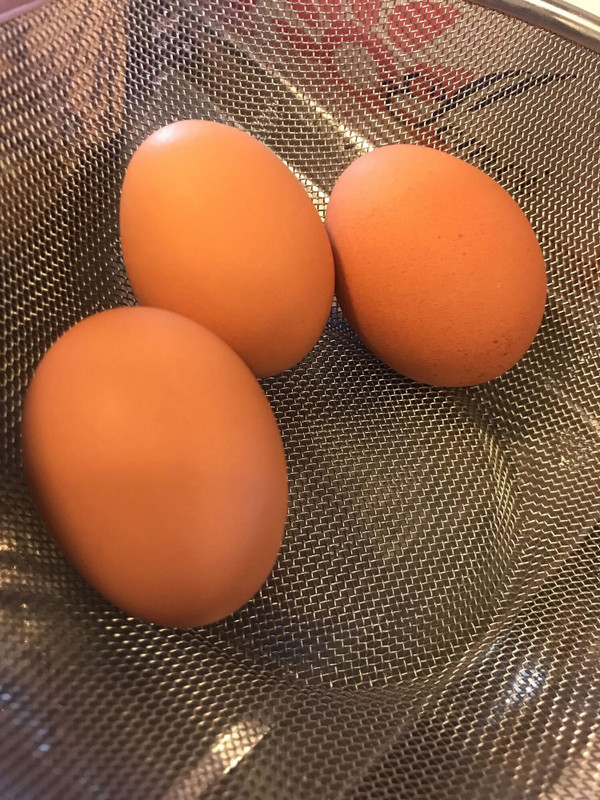 icotto_ihさんの写真 / 5