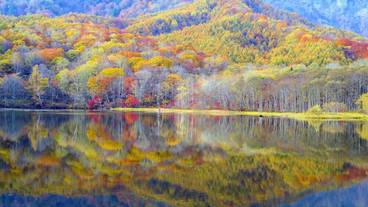 観光スポット / 8