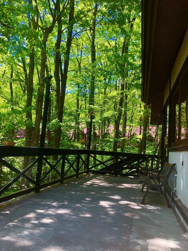 施設からの眺望