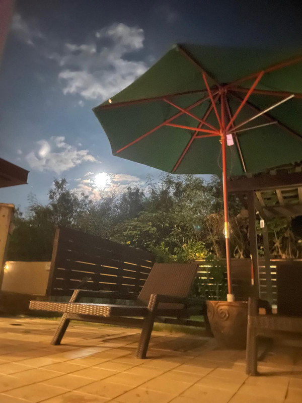 aya08167さんの写真 / 1