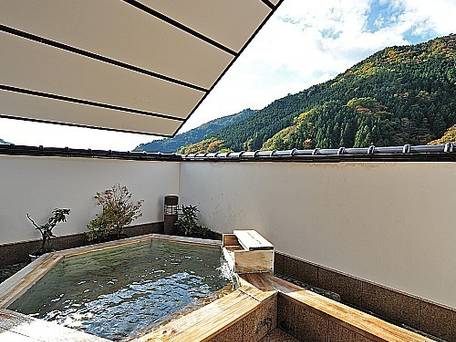 水上温泉郷 谷川温泉 旅館たにがわ / 2