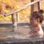 【関西】おこもりしながら紅葉狩り♡紅葉露天風呂のある温泉旅館14選