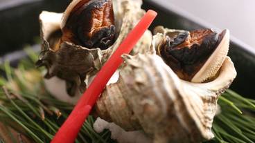 食事・飲み物 / 10