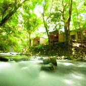 河津七滝 渓流温泉茶寮 水鞠－mizumari－（静岡県 旅館） / 4