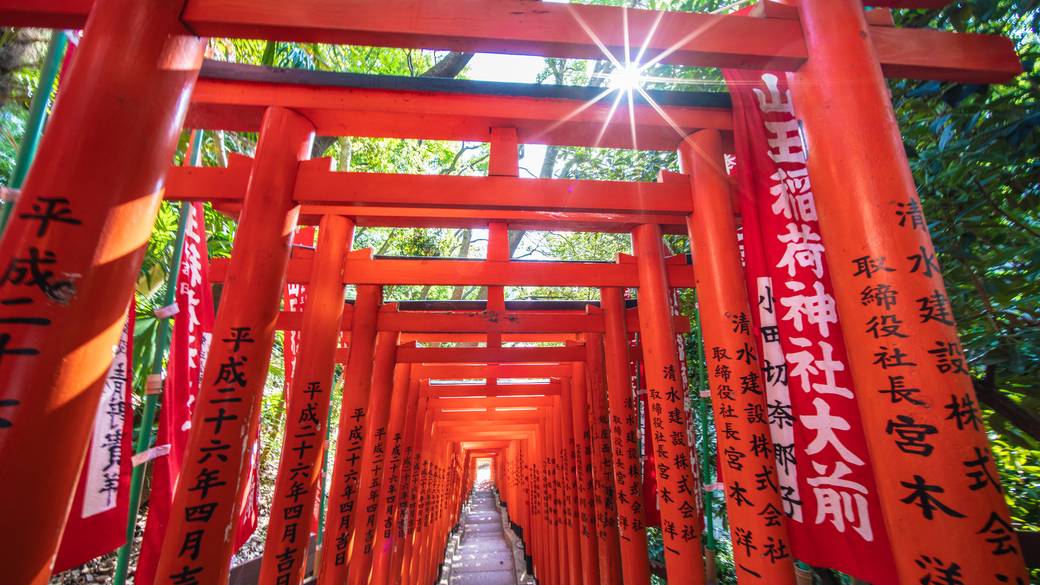 周辺観光　日枝神社の千本鳥居 / 4