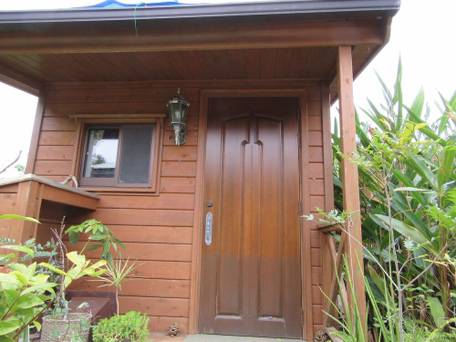 やんばるの森 / 1