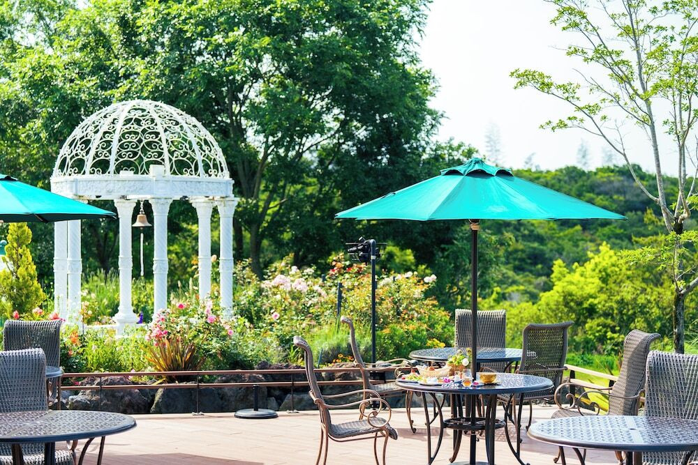 テラス / パティオ