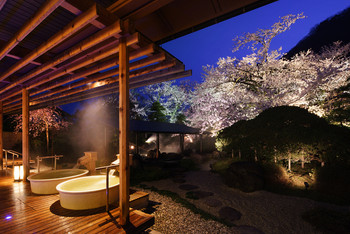 寝湯で夜桜。あまりの心地良さについ、ウトウト……。3439938